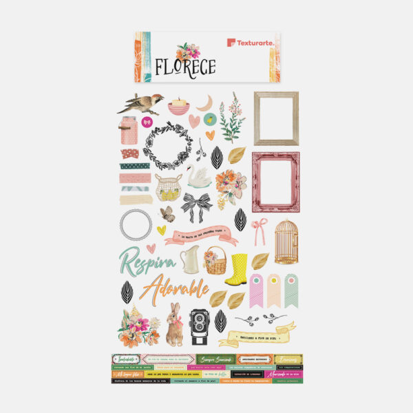 Paquete de decoraciones Florece