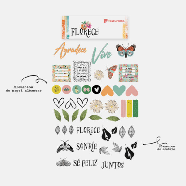 Elementos decorativos Florece